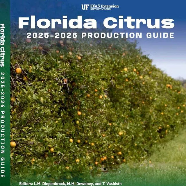 thumbnail for publication: 2025–2026 Florida Citrus Production Guide: Huanglongbing (Citrus Greening)